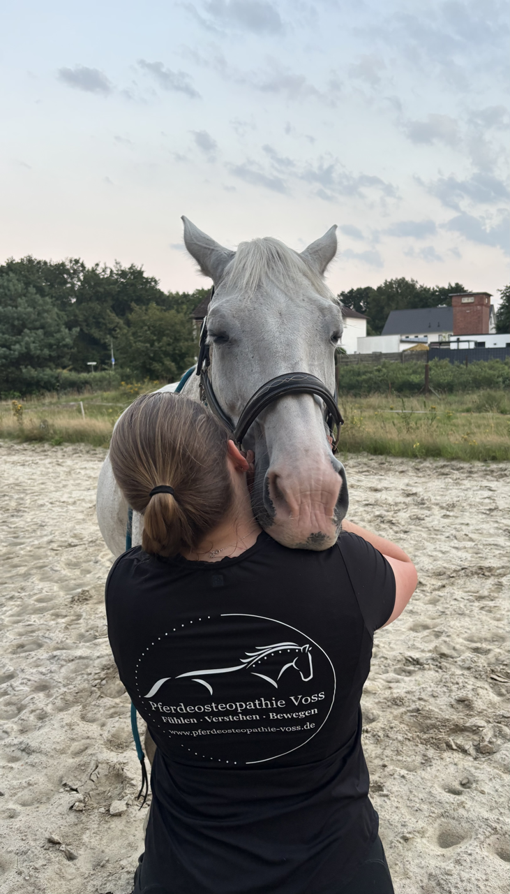Pferdephysiotherapie Lehrte Pferdeosteopathie Hannover Indikationen