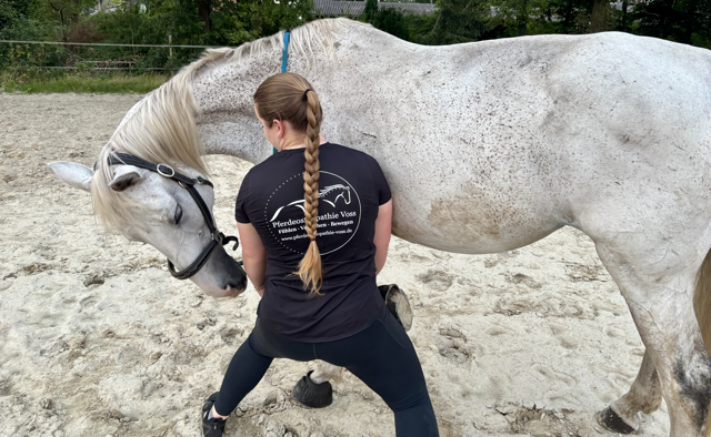 Pferdephysiotherapie Hannover und Celle Pferdeosteopathie